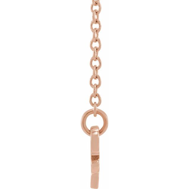 14K Rose Aquarius Zodiac 18&quot; Necklace