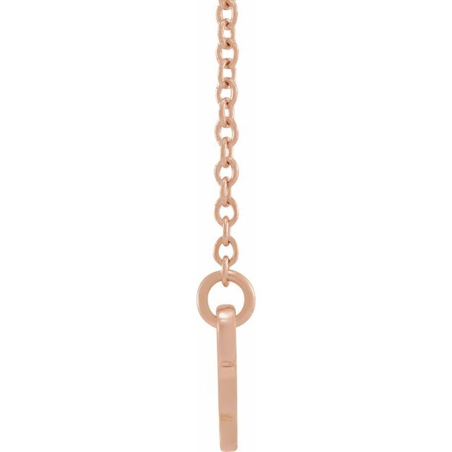 14K Rose Capricorn Zodiac 18&quot; Necklace